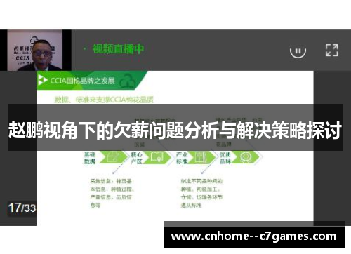 赵鹏视角下的欠薪问题分析与解决策略探讨